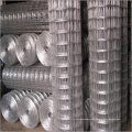 Stainless Steel/Galvanized Welded Wire Mesh (ISO SGS)